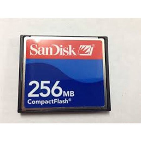 256mb Sandisk Cf Raymarine Geonav Compactflash